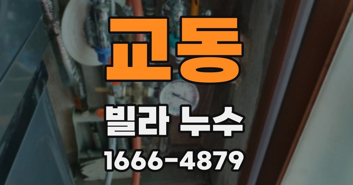 교동 빌라 누수