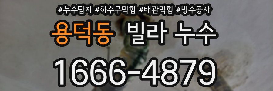 용덕동 빌라 누수