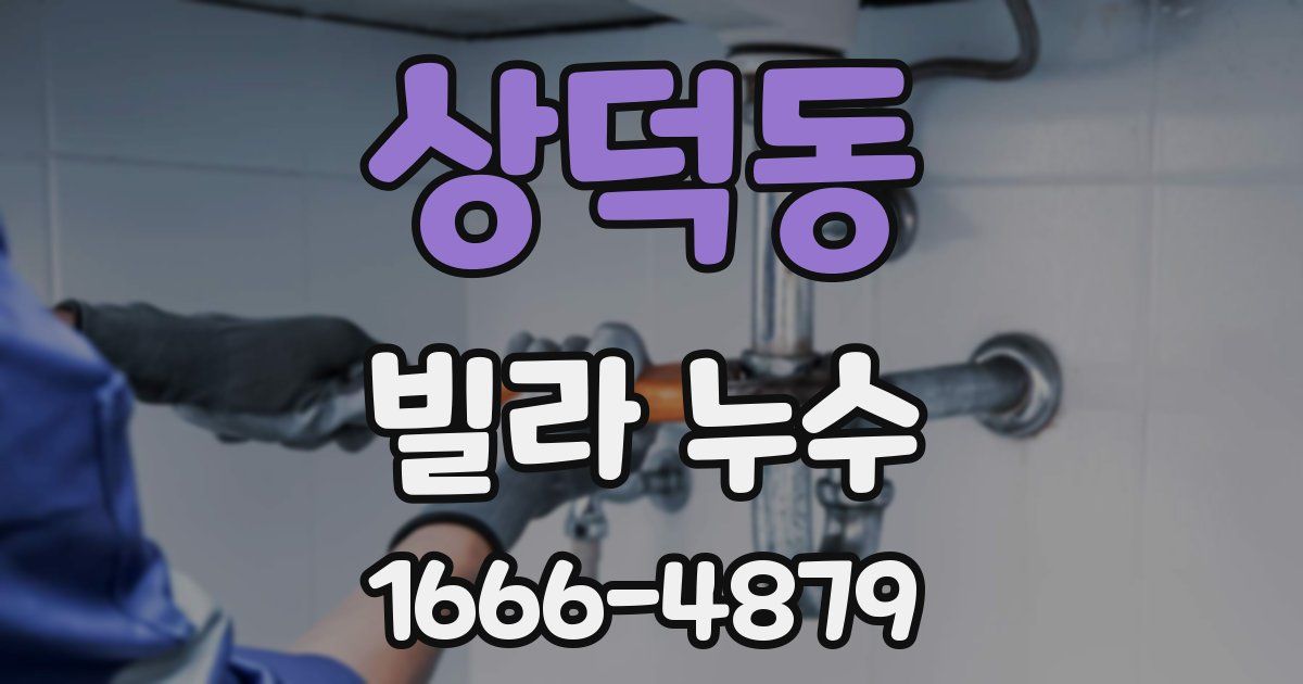상덕동 빌라 누수