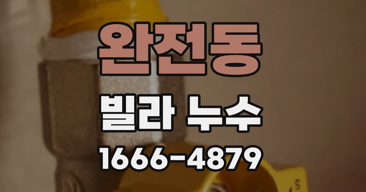 완전동 빌라 누수