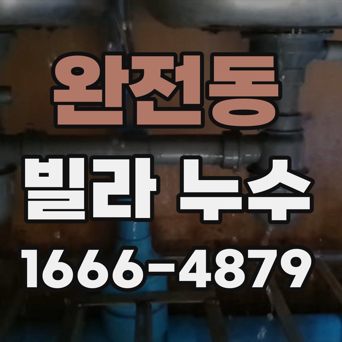 완전동 빌라 누수