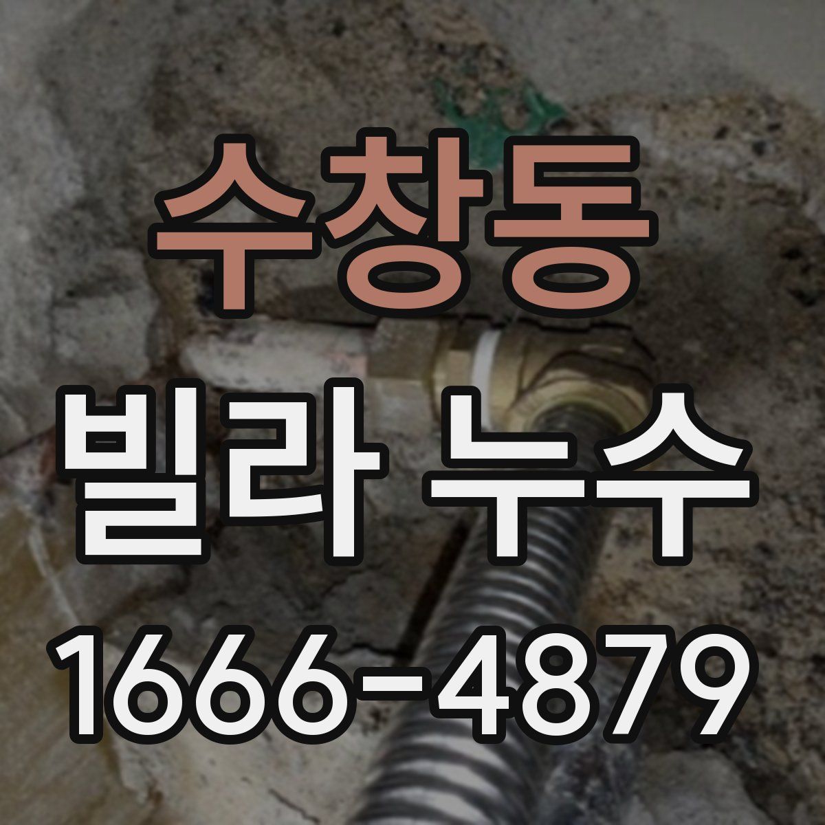 수창동 빌라 누수