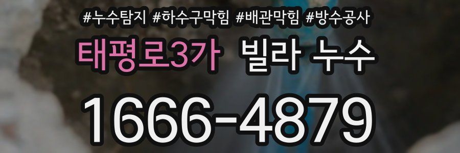태평로3가 빌라 누수