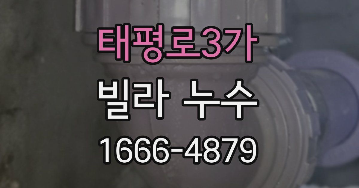 태평로3가 빌라 누수