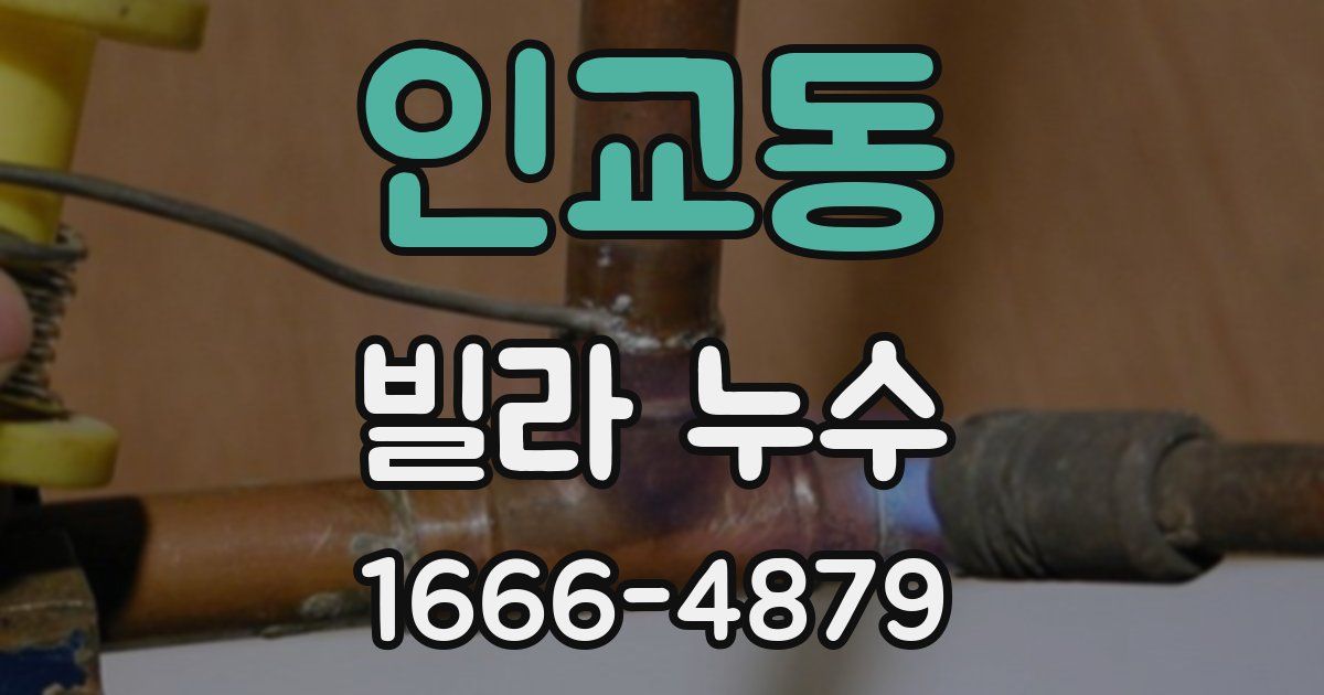 인교동 빌라 누수