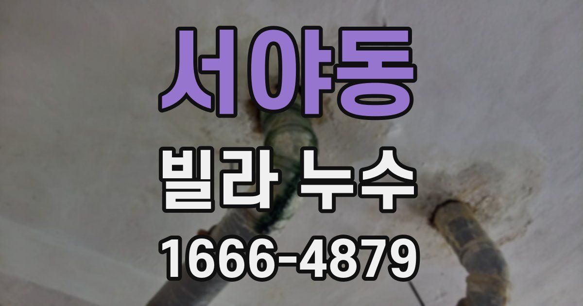 서야동 빌라 누수