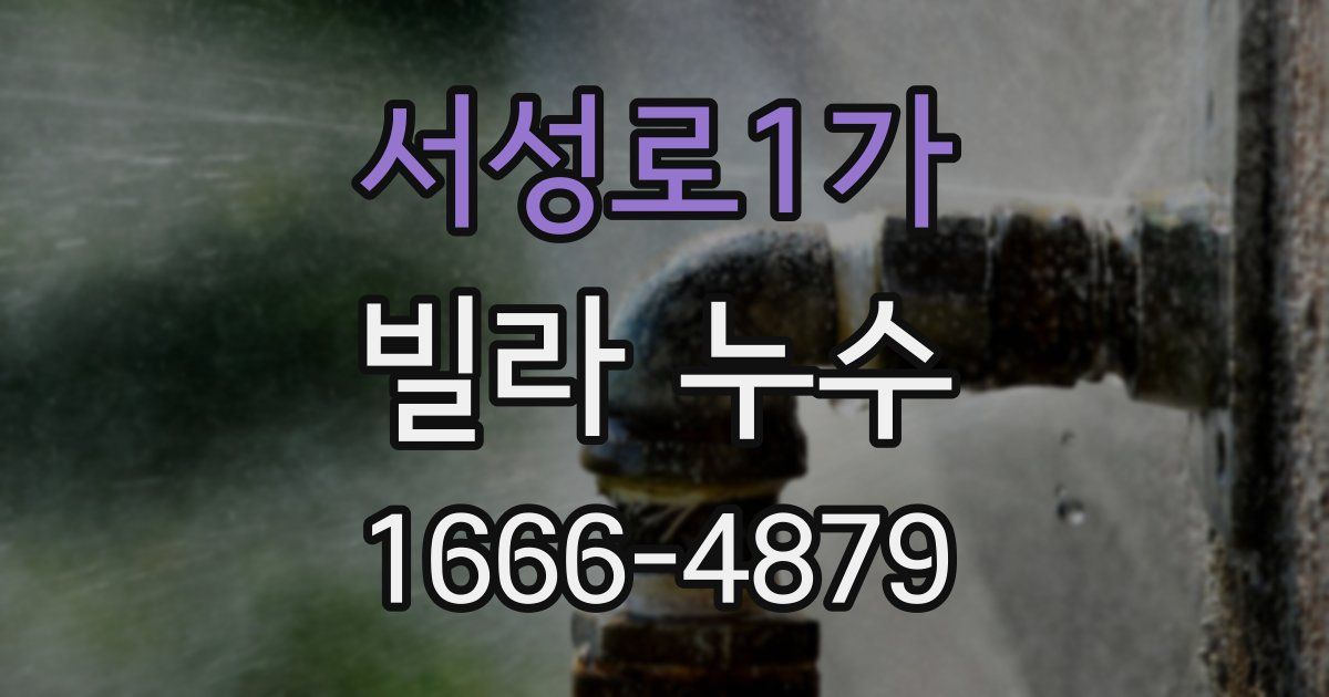 서성로1가 빌라 누수