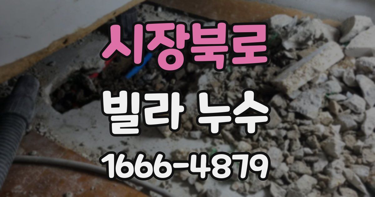 시장북로 빌라 누수