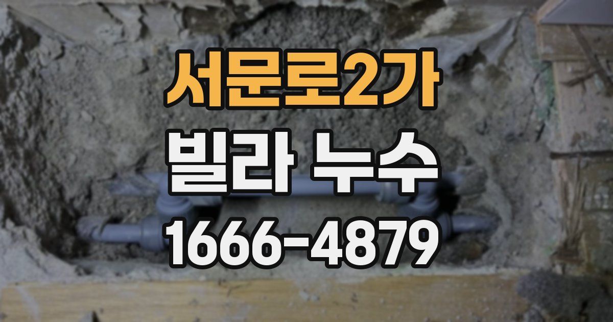 서문로2가 빌라 누수