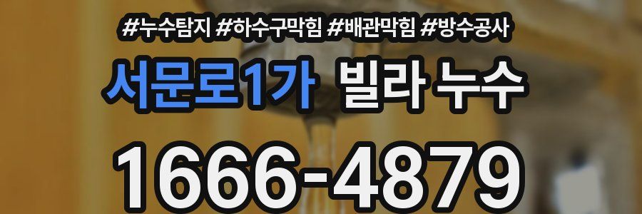 서문로1가 빌라 누수