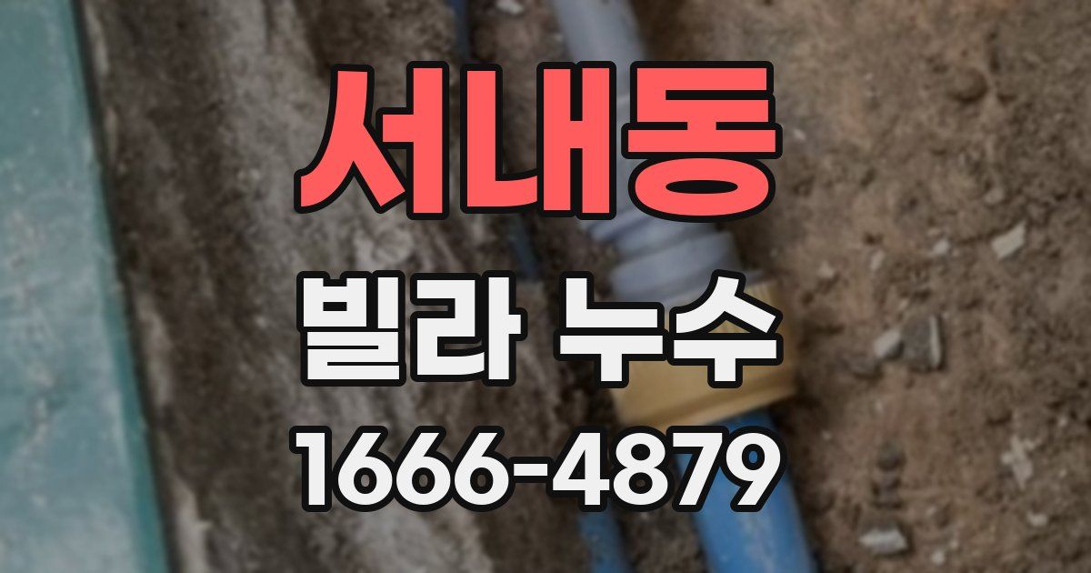 서내동 빌라 누수