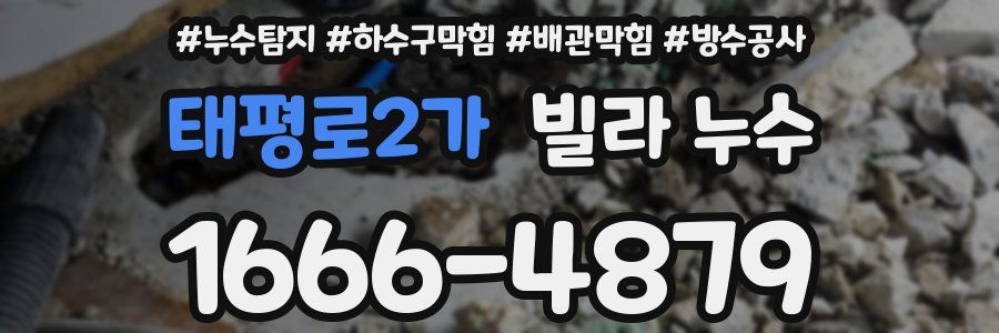 태평로2가 빌라 누수