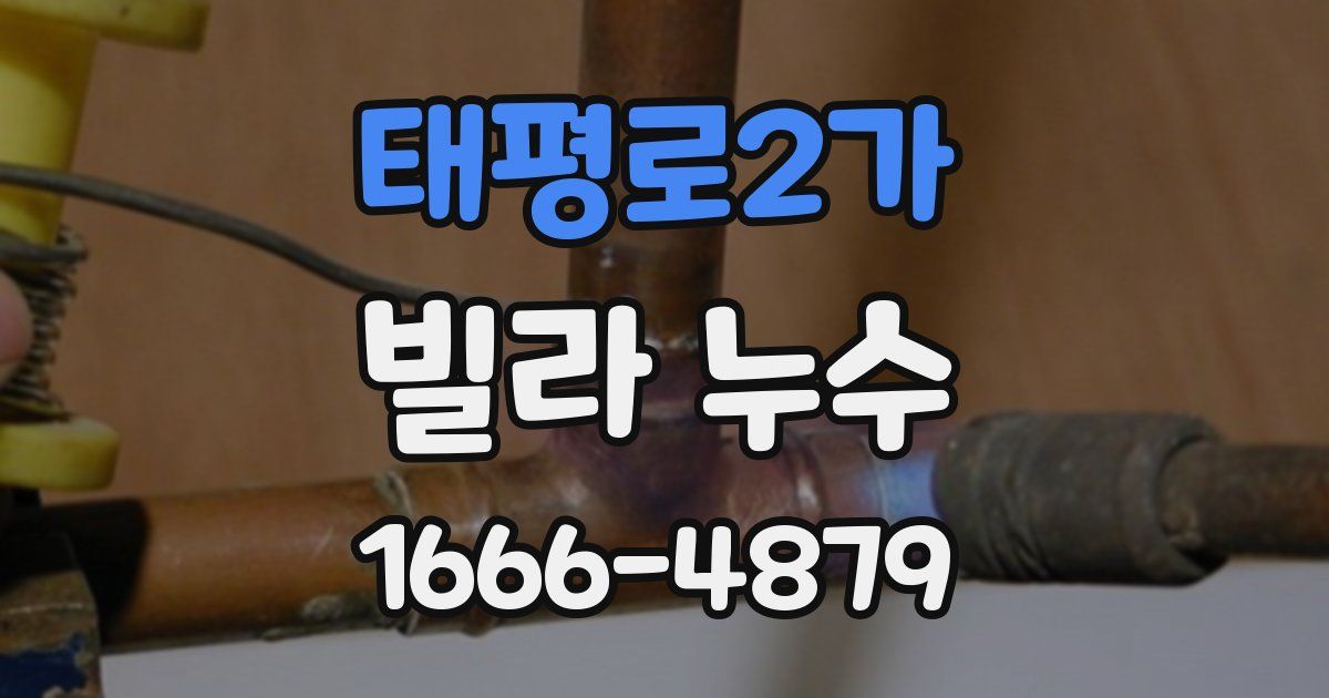 태평로2가 빌라 누수