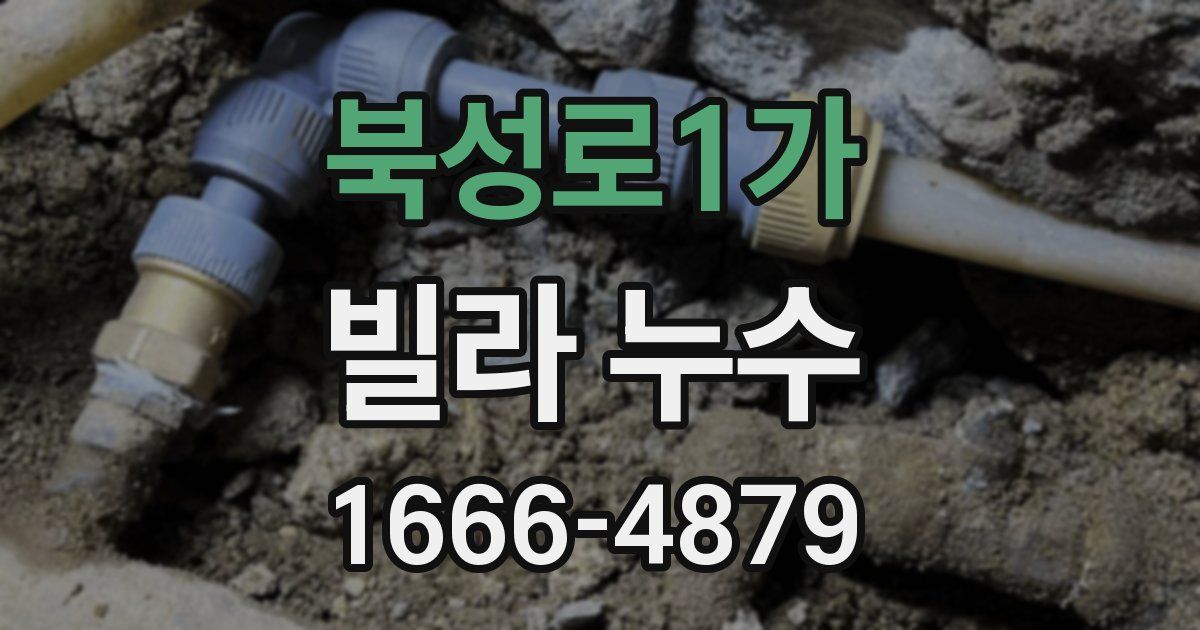 북성로1가 빌라 누수
