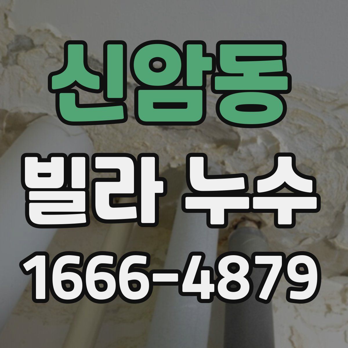 신암동 빌라 누수