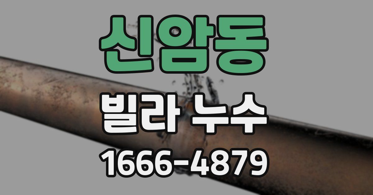 신암동 빌라 누수