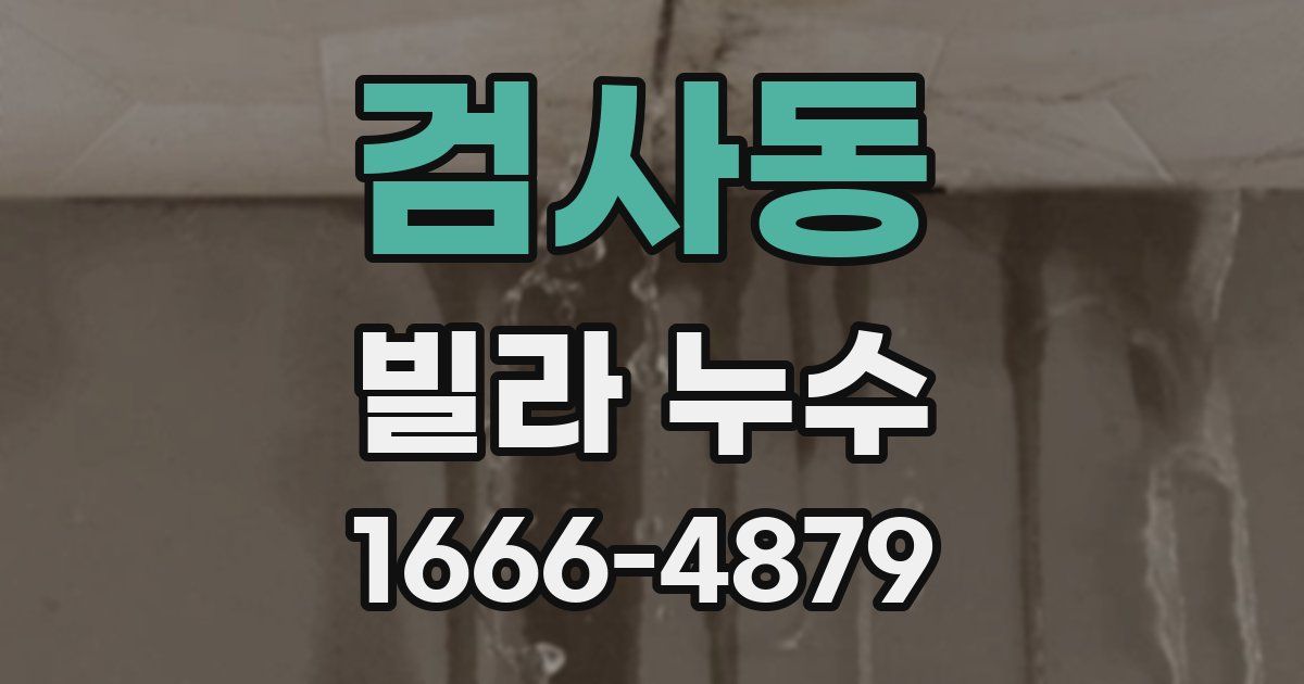 검사동 빌라 누수