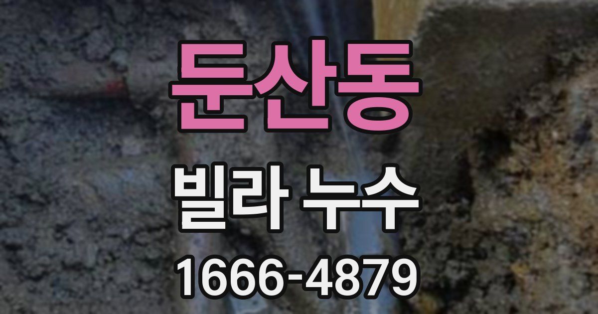 둔산동 빌라 누수