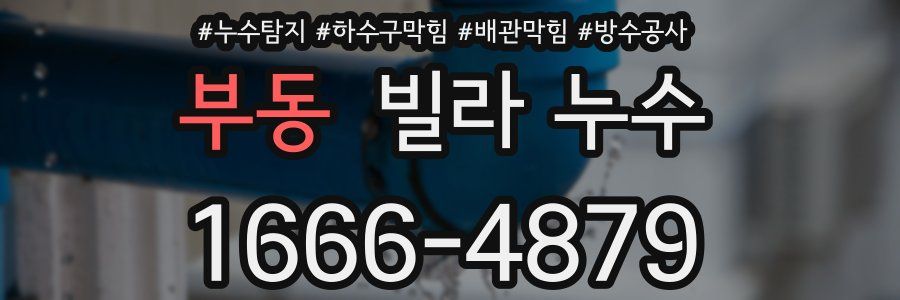 부동 빌라 누수