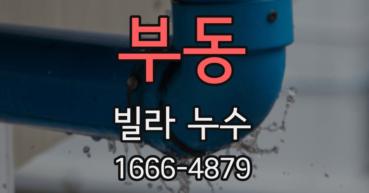 부동 빌라 누수