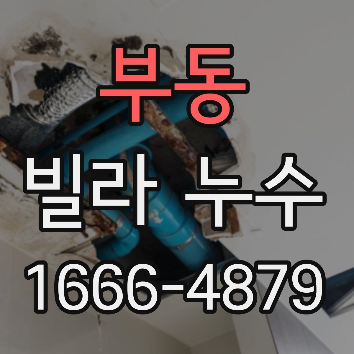 부동 빌라 누수