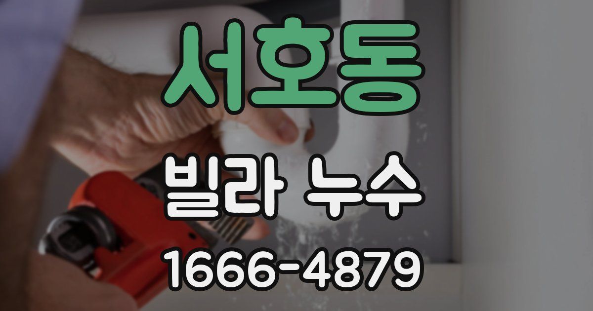서호동 빌라 누수