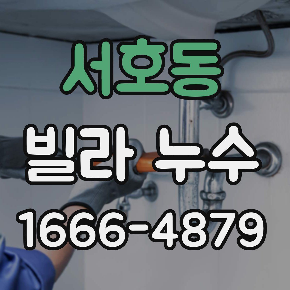 서호동 빌라 누수