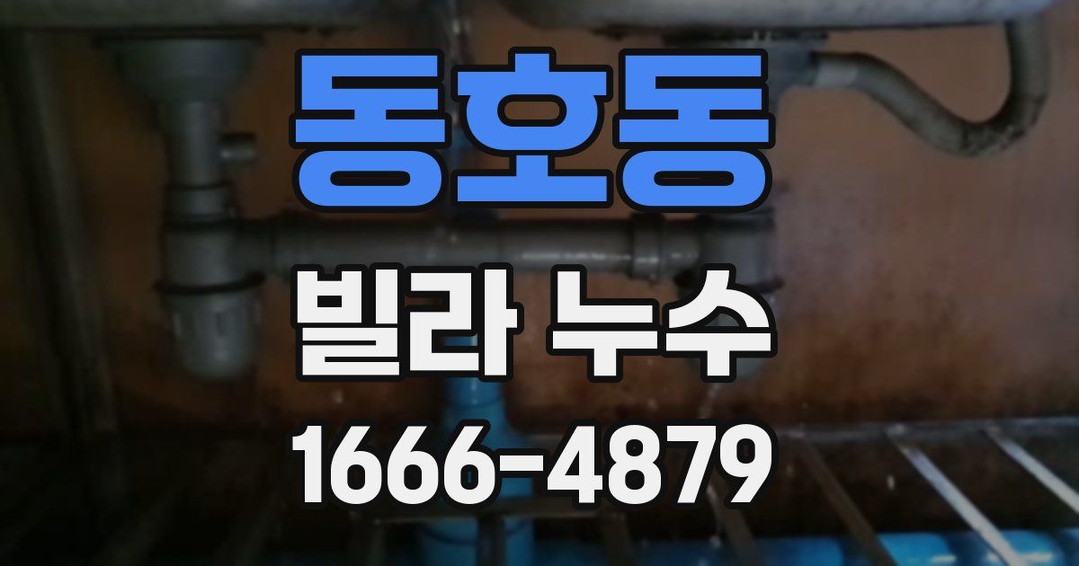동호동 빌라 누수