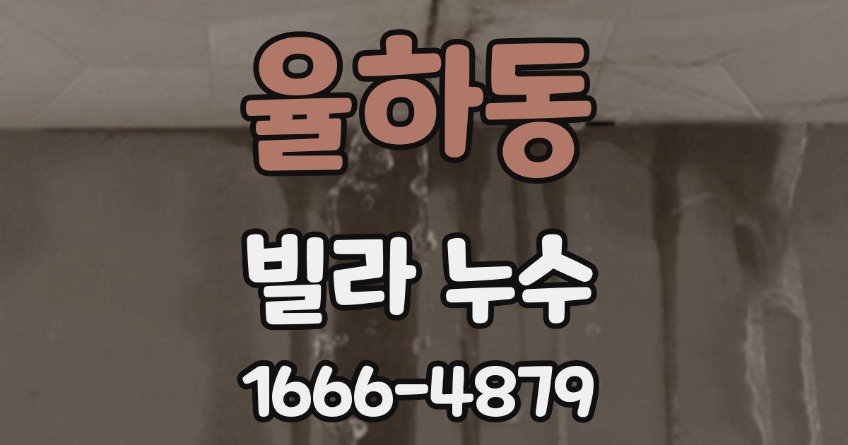 율하동 빌라 누수