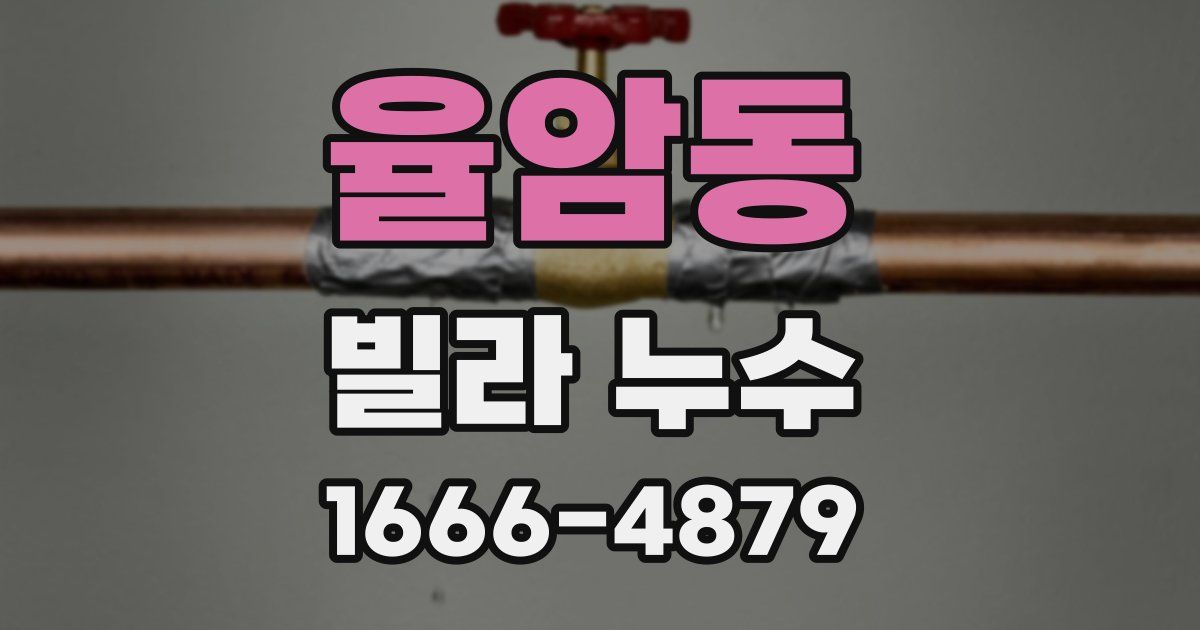 율암동 빌라 누수
