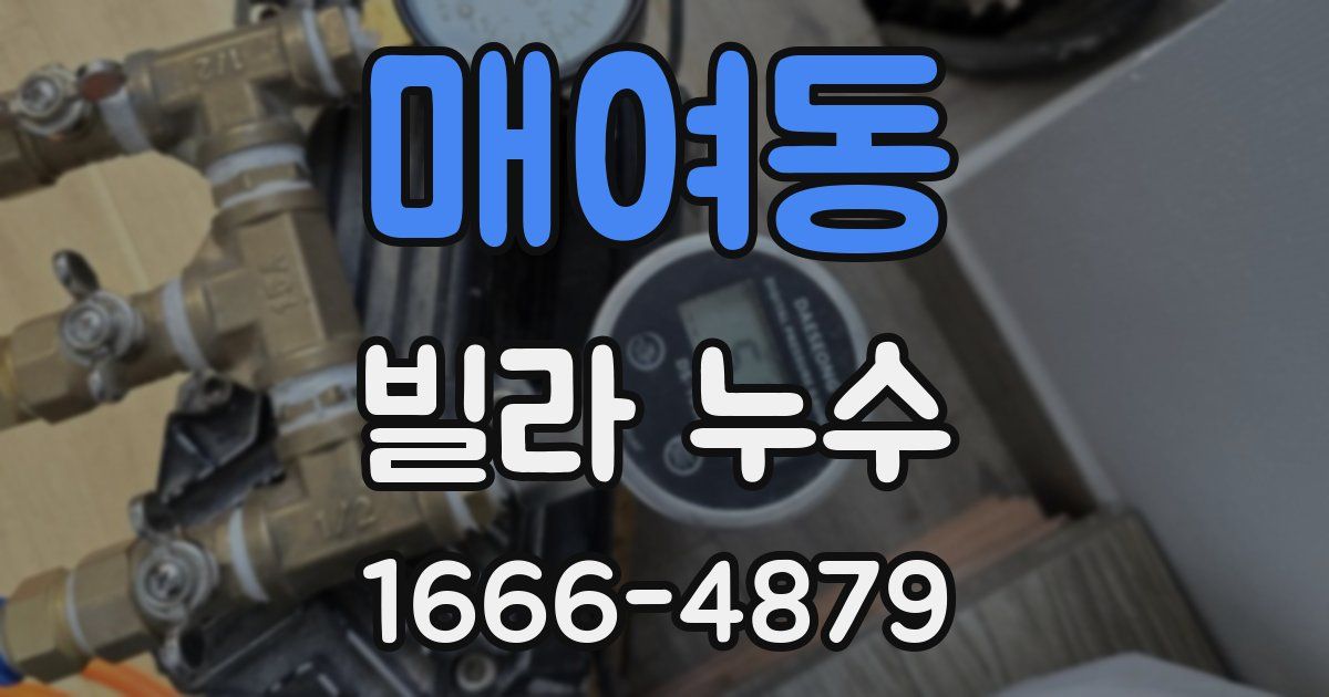 매여동 빌라 누수