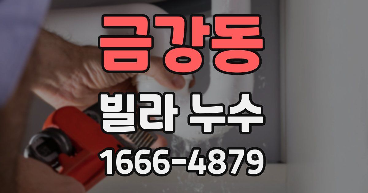 금강동 빌라 누수