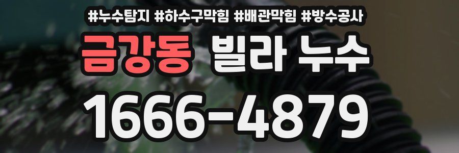 금강동 빌라 누수