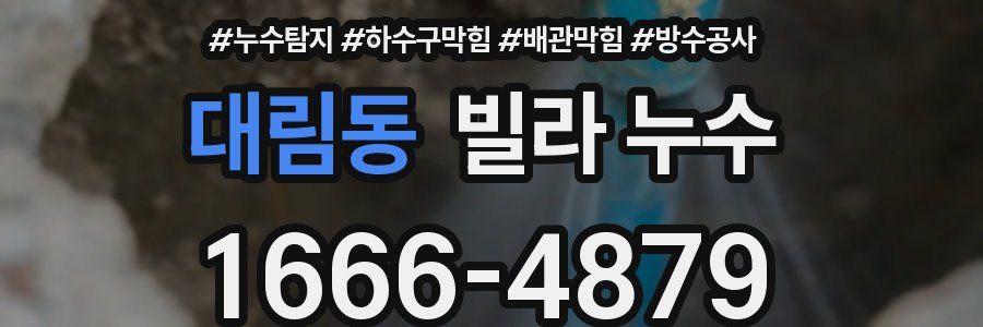 대림동 빌라 누수