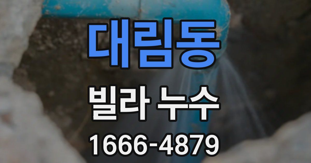 대림동 빌라 누수