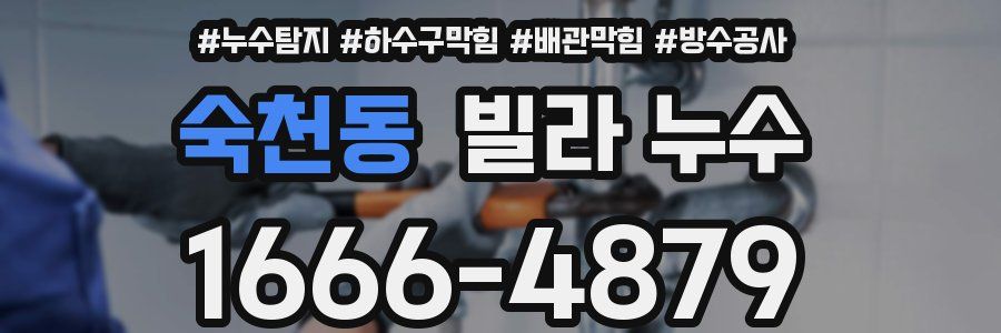 숙천동 빌라 누수