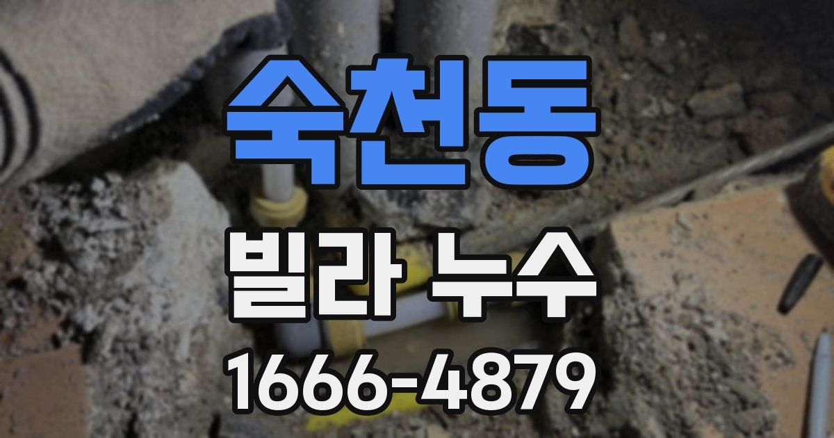 숙천동 빌라 누수