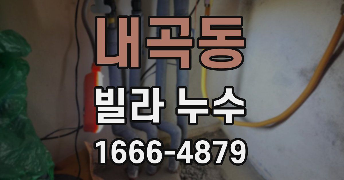 내곡동 빌라 누수