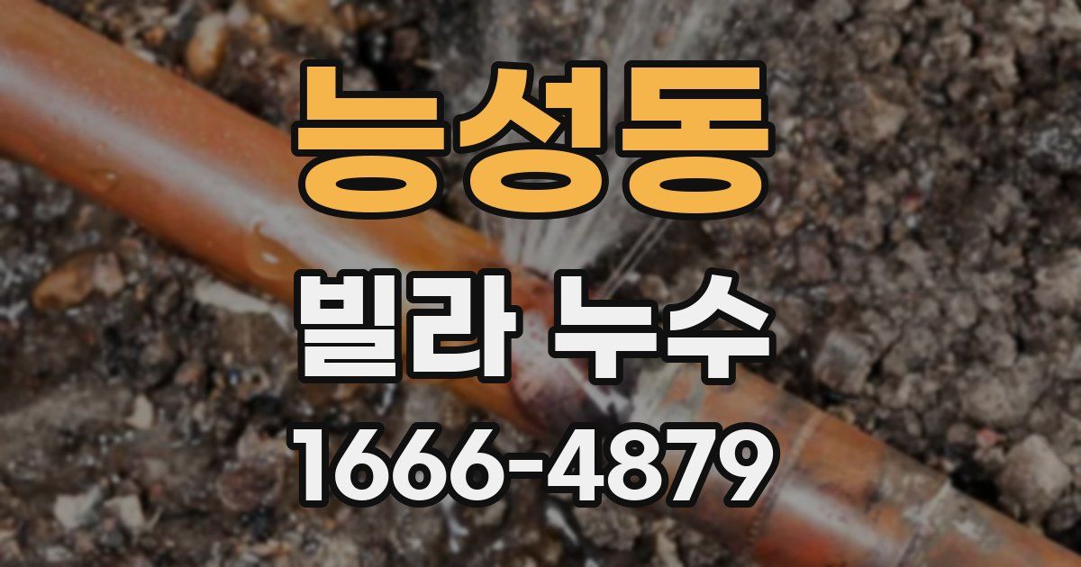 능성동 빌라 누수