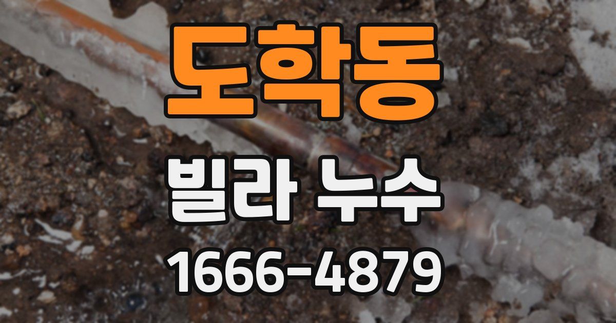 도학동 빌라 누수