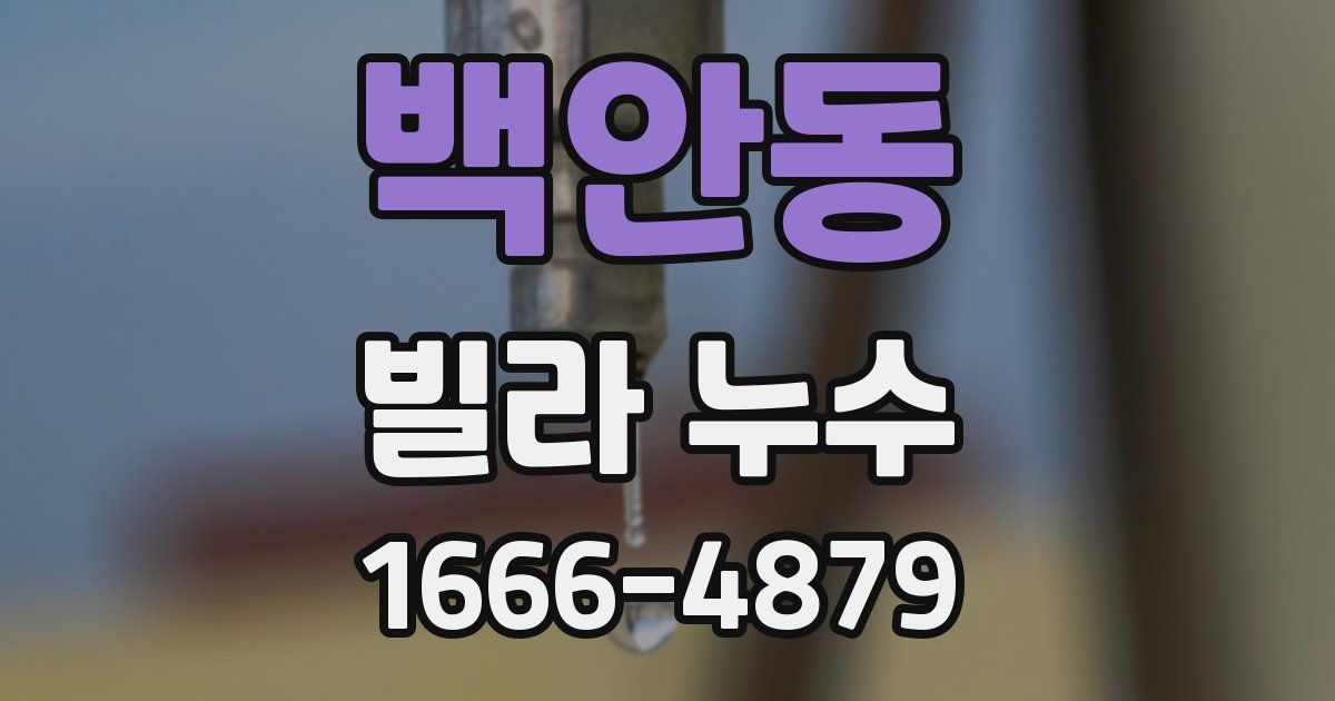 백안동 빌라 누수