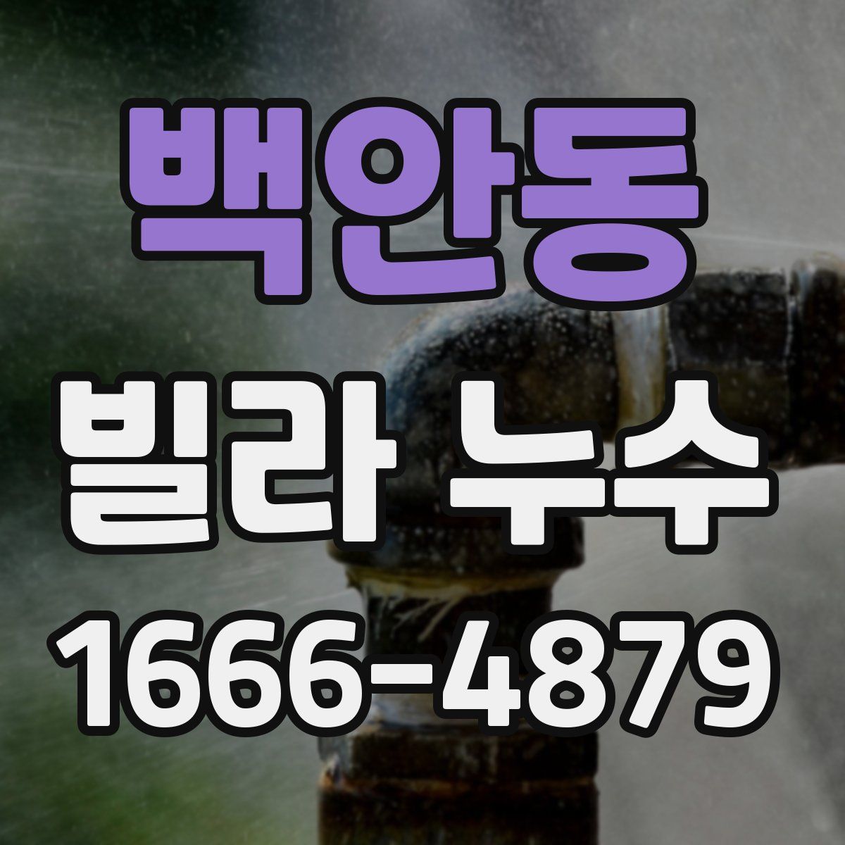 백안동 빌라 누수