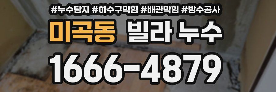 미곡동 빌라 누수
