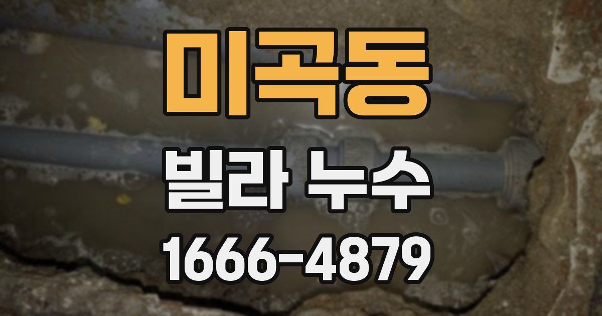 미곡동 빌라 누수