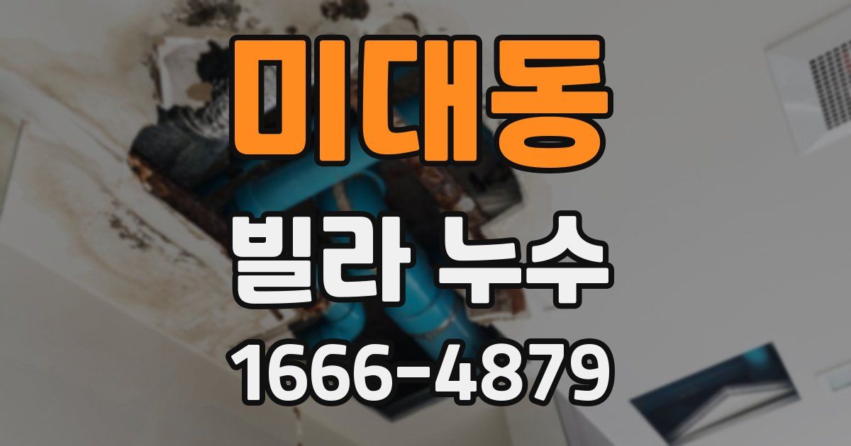 미대동 빌라 누수