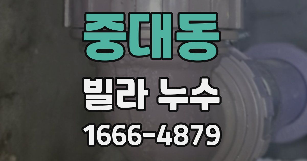중대동 빌라 누수