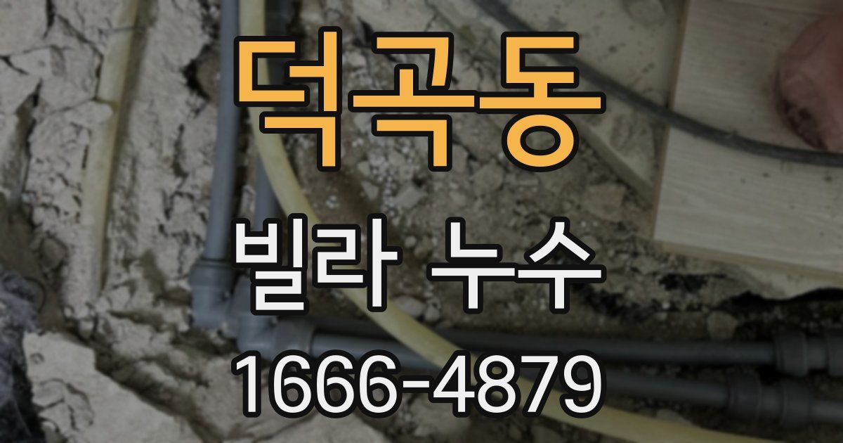 덕곡동 빌라 누수