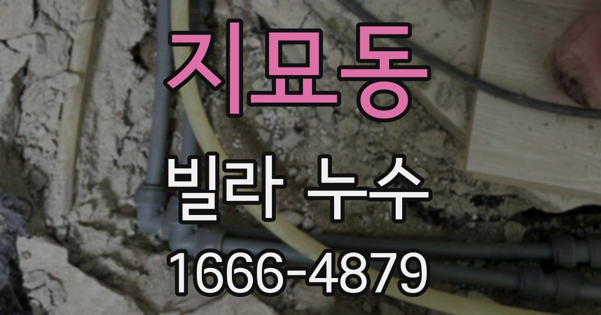 지묘동 빌라 누수