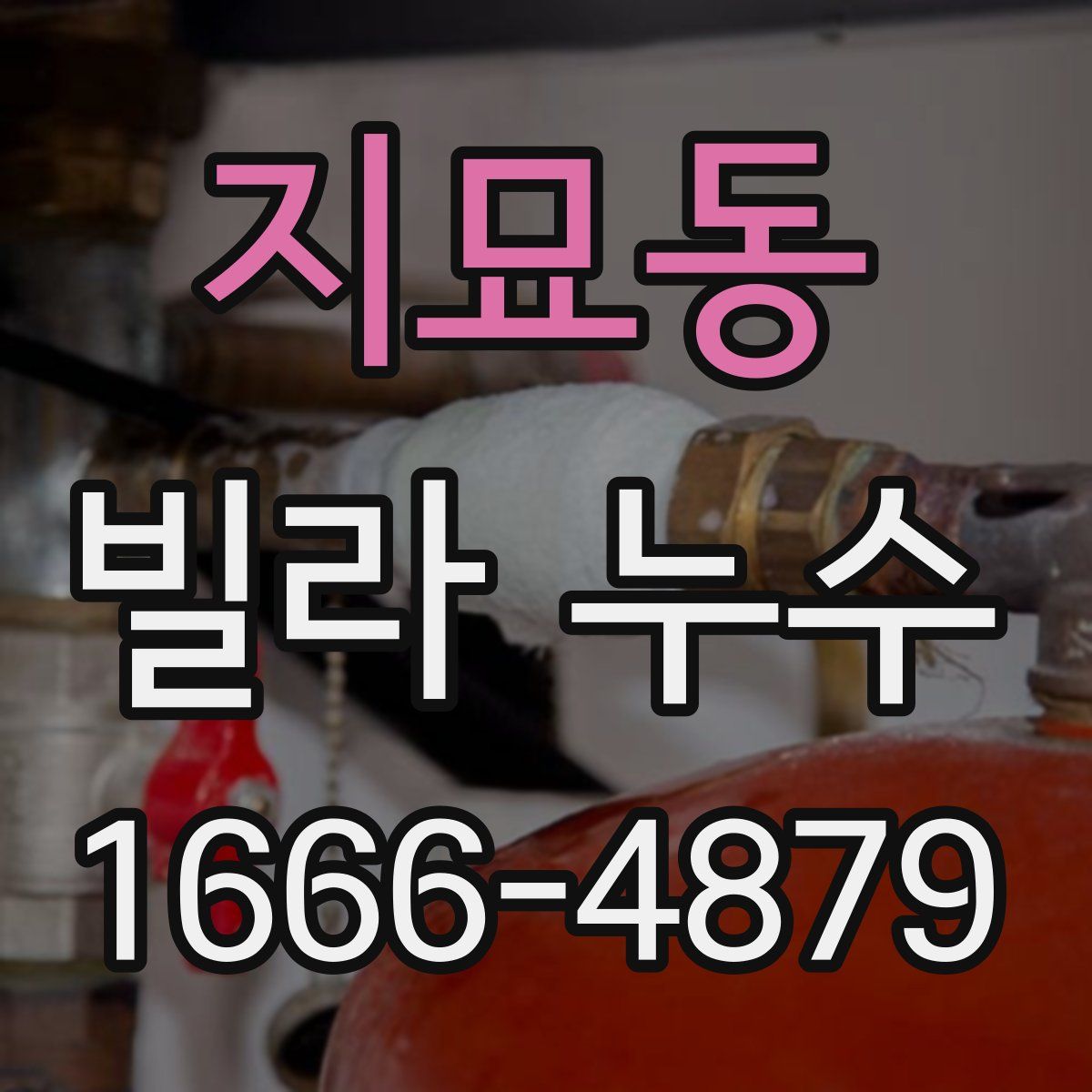 지묘동 빌라 누수