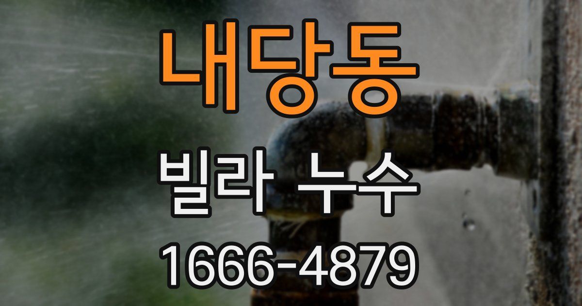 내당동 빌라 누수
